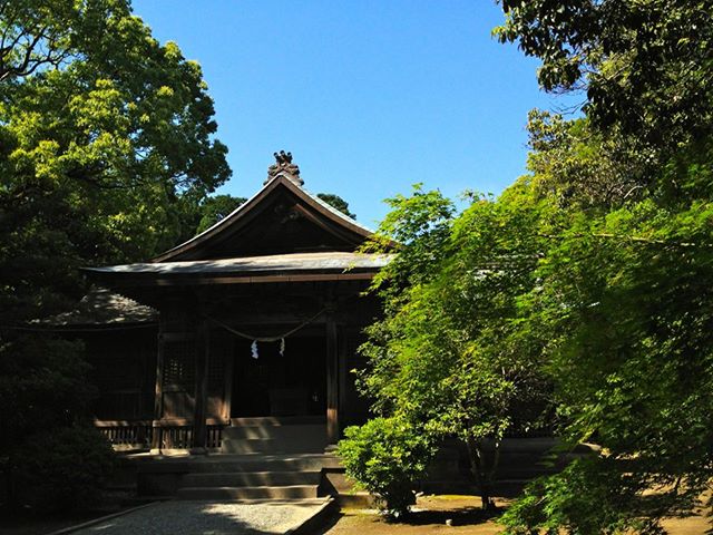 江田神社4